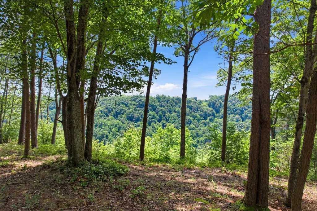 321 Timberwood Trace Monteagle TN 37356