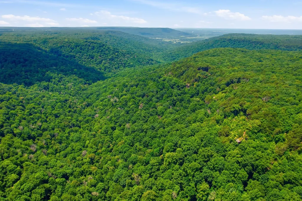 321 Timberwood Trace Monteagle TN 37356