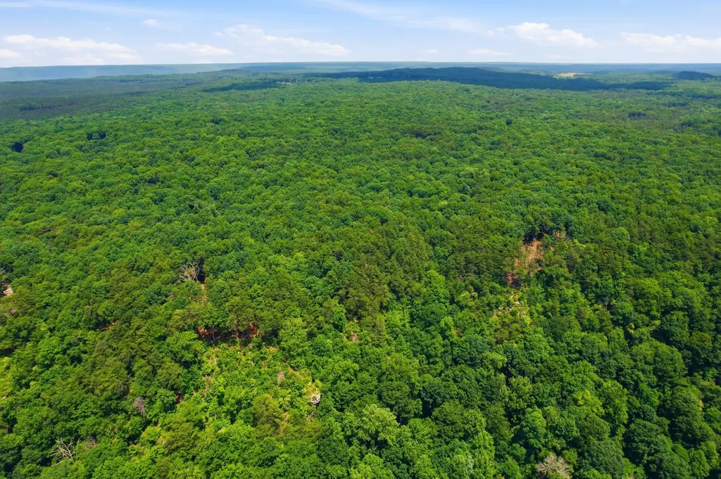 321 Timberwood Trace Monteagle TN 37356