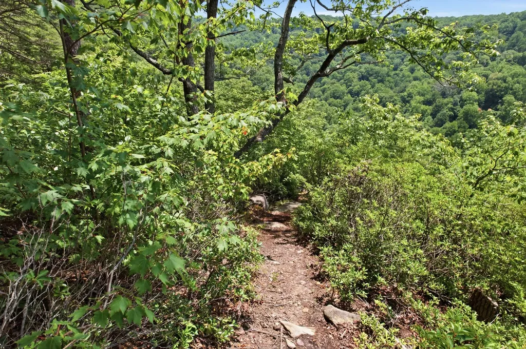 321 Timberwood Trace Monteagle TN 37356