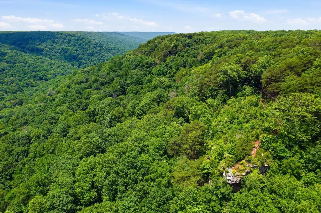 321 Timberwood Trace Monteagle TN 37356