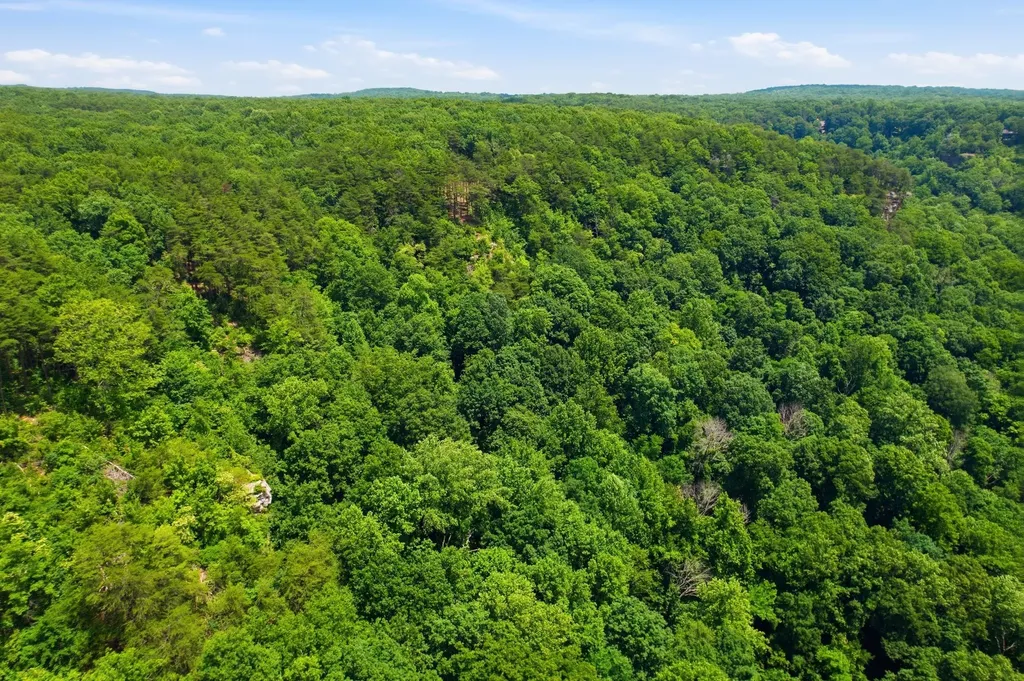 321 Timberwood Trace Monteagle TN 37356