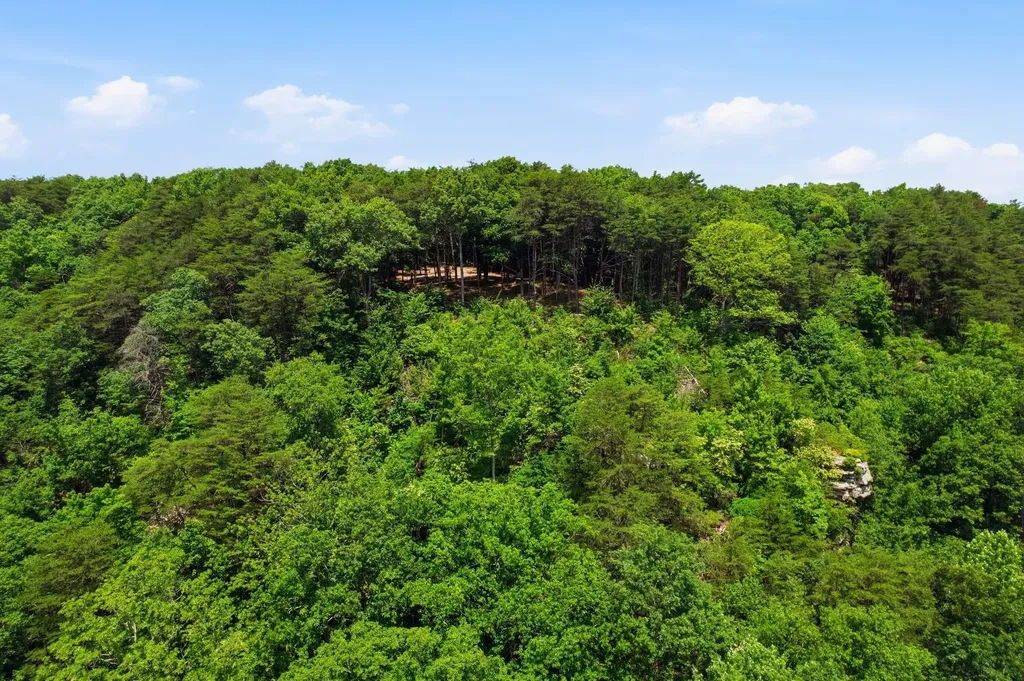 321 Timberwood Trace Monteagle TN 37356