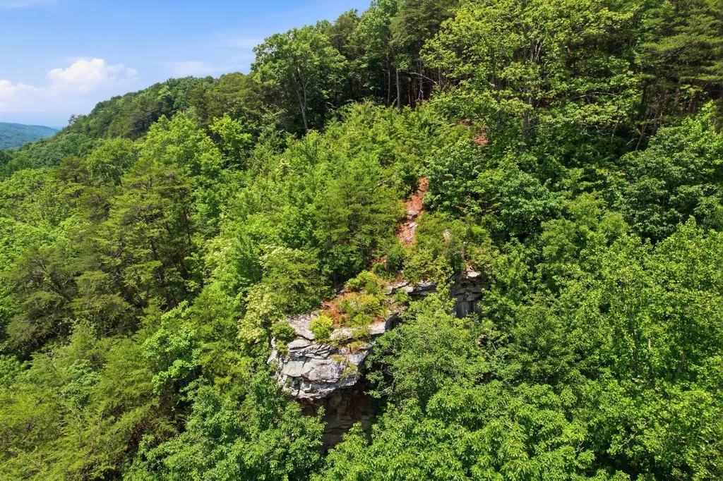 321 Timberwood Trace Monteagle TN 37356