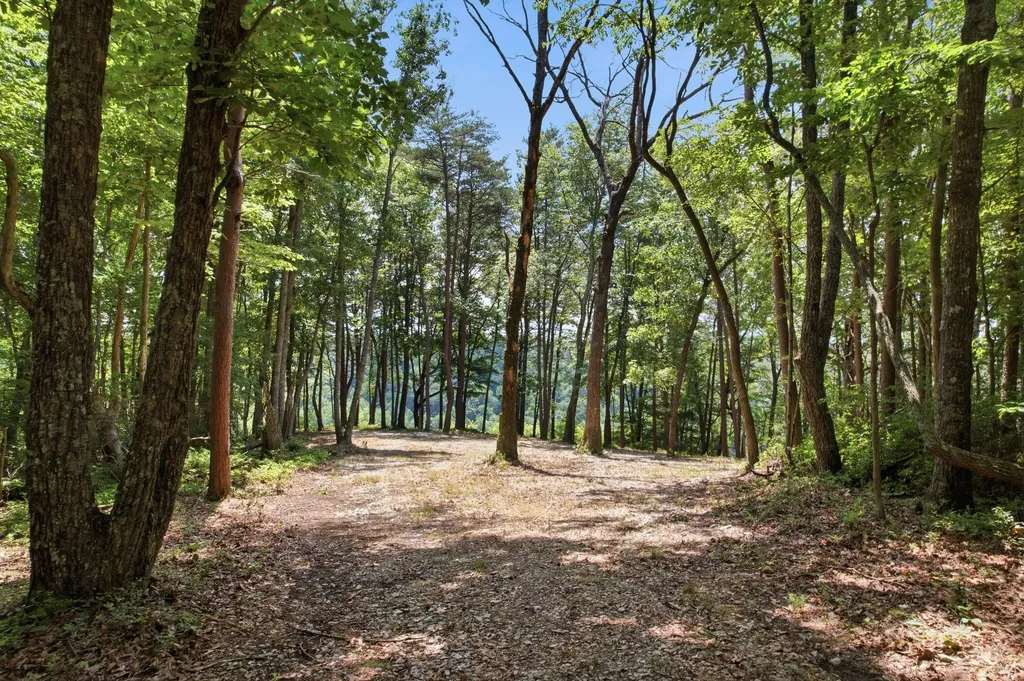 321 Timberwood Trace Monteagle TN 37356