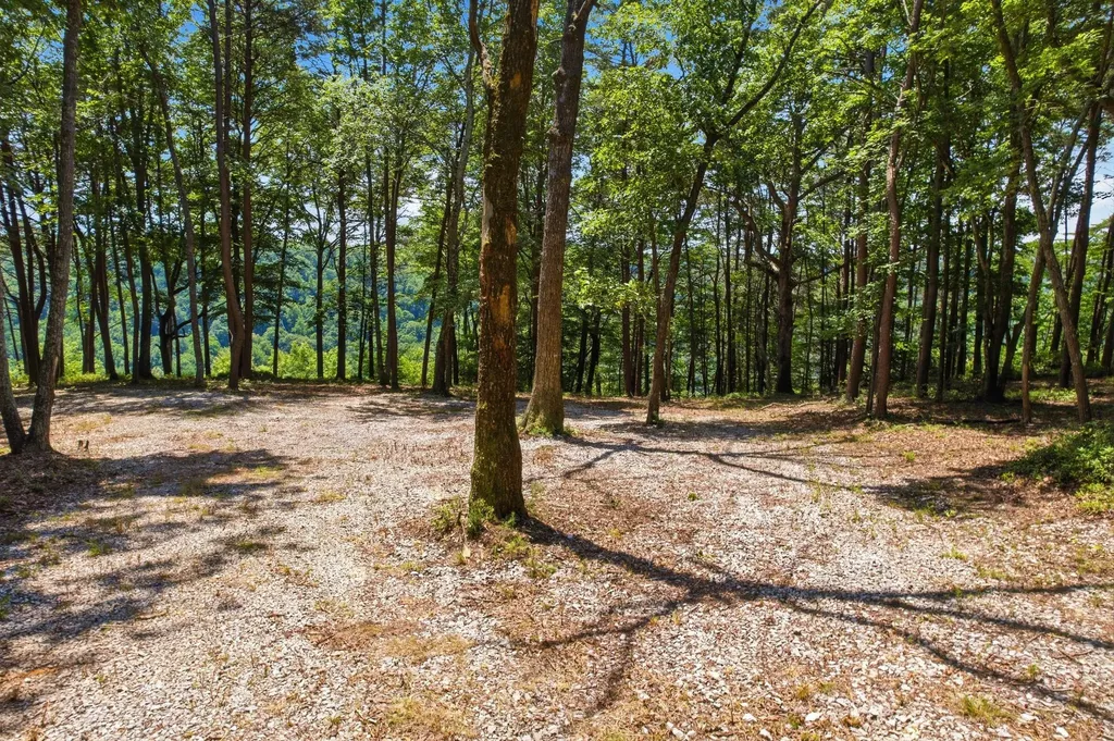 321 Timberwood Trace Monteagle TN 37356
