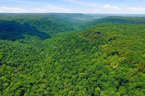 321 Timberwood Trace Monteagle TN 37356