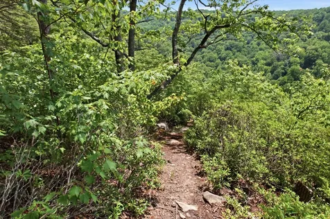 321 Timberwood Trace Monteagle TN 37356