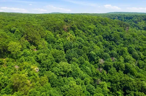 321 Timberwood Trace Monteagle TN 37356