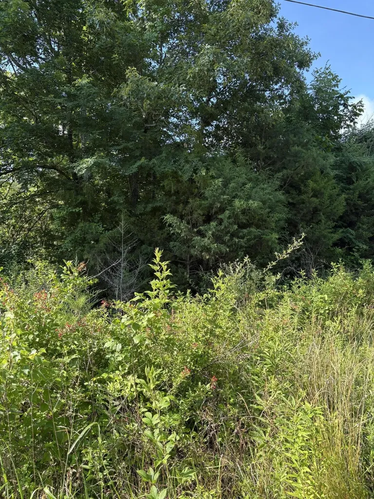 6 Old Furnace Road Tellico Plains TN 37385