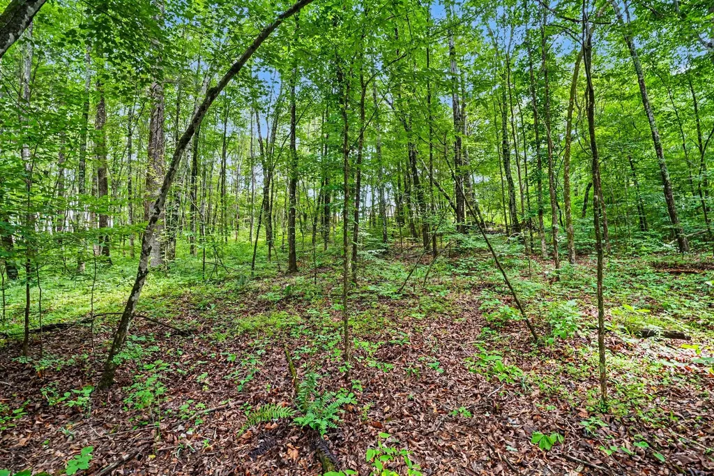 1415 Southside Road Southside TN 37171