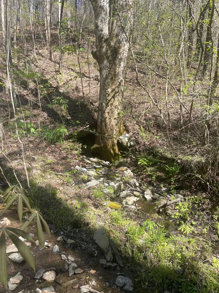 1 Old Furnace Road Tellico Plains TN 37385