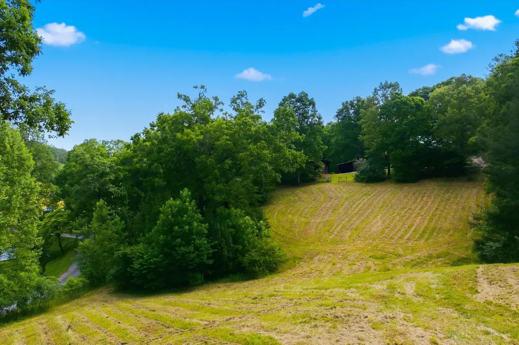 170 Mount Harmony Road Copperhill TN 37317