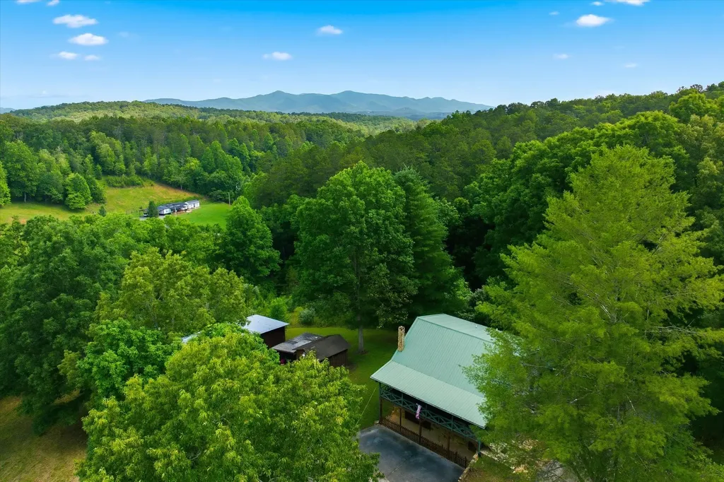 170 Mount Harmony Road Copperhill TN 37317