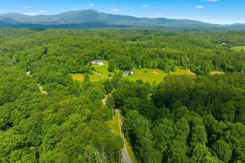 170 Mount Harmony Road Copperhill TN 37317