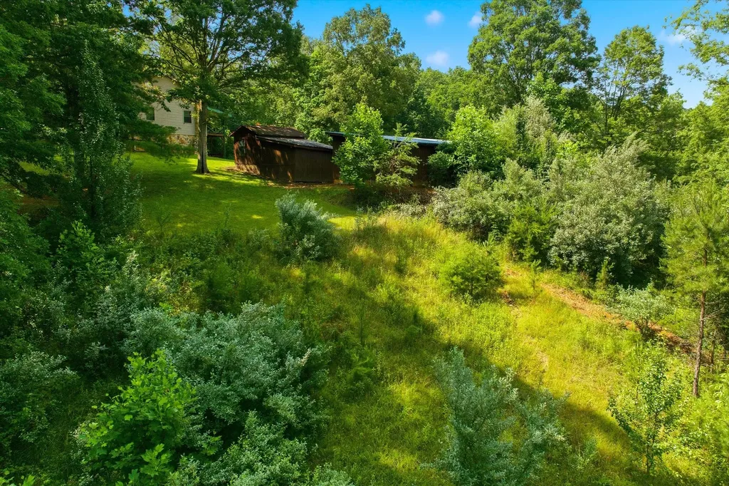 170 Mount Harmony Road Copperhill TN 37317