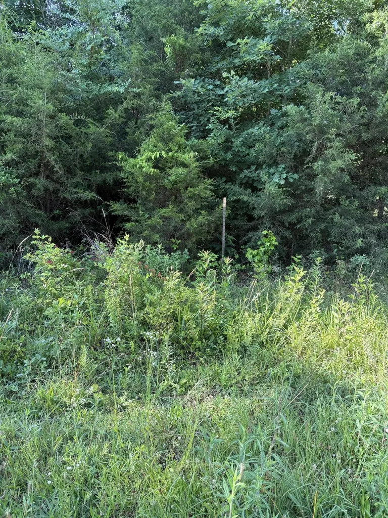 6 Saffles Lane Madisonville TN 37354
