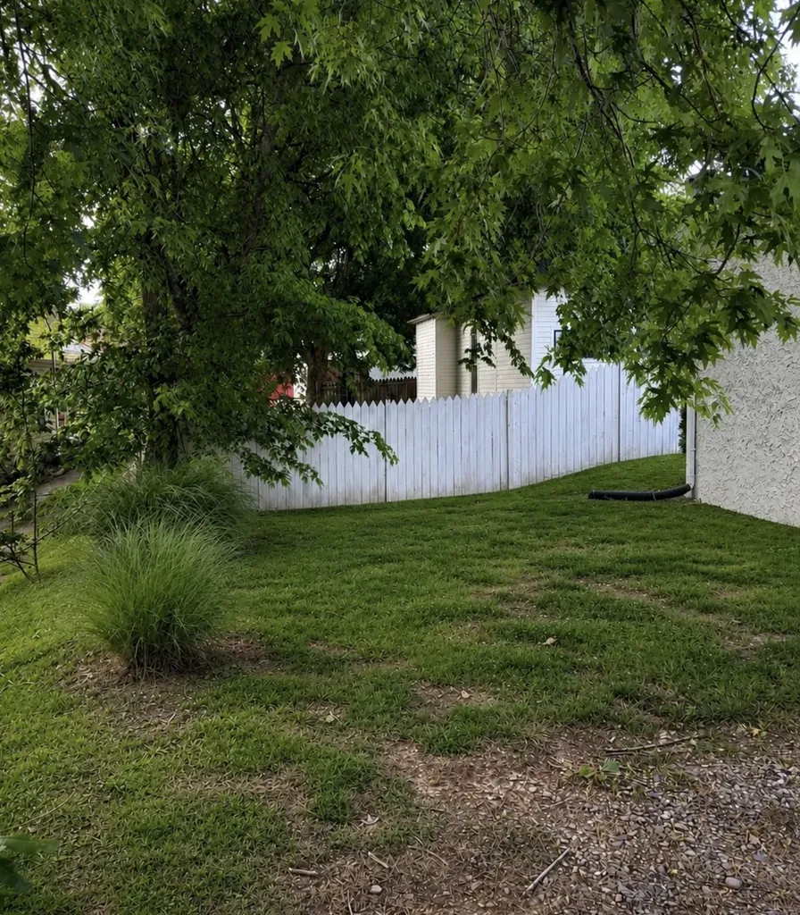 206 W College Street Dickson TN 37055