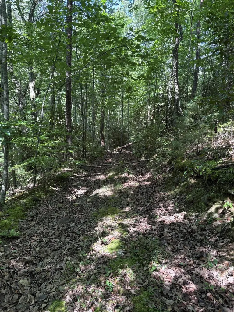 4 Old Furnace Road Tellico Plains TN 37385