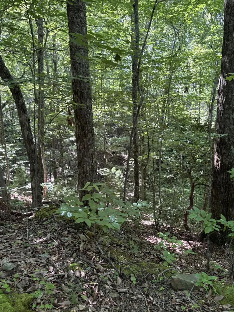 4 Old Furnace Road Tellico Plains TN 37385