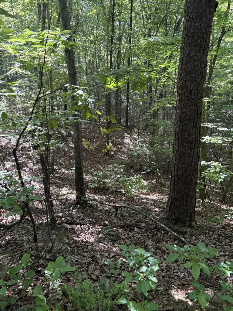 4 Old Furnace Road Tellico Plains TN 37385