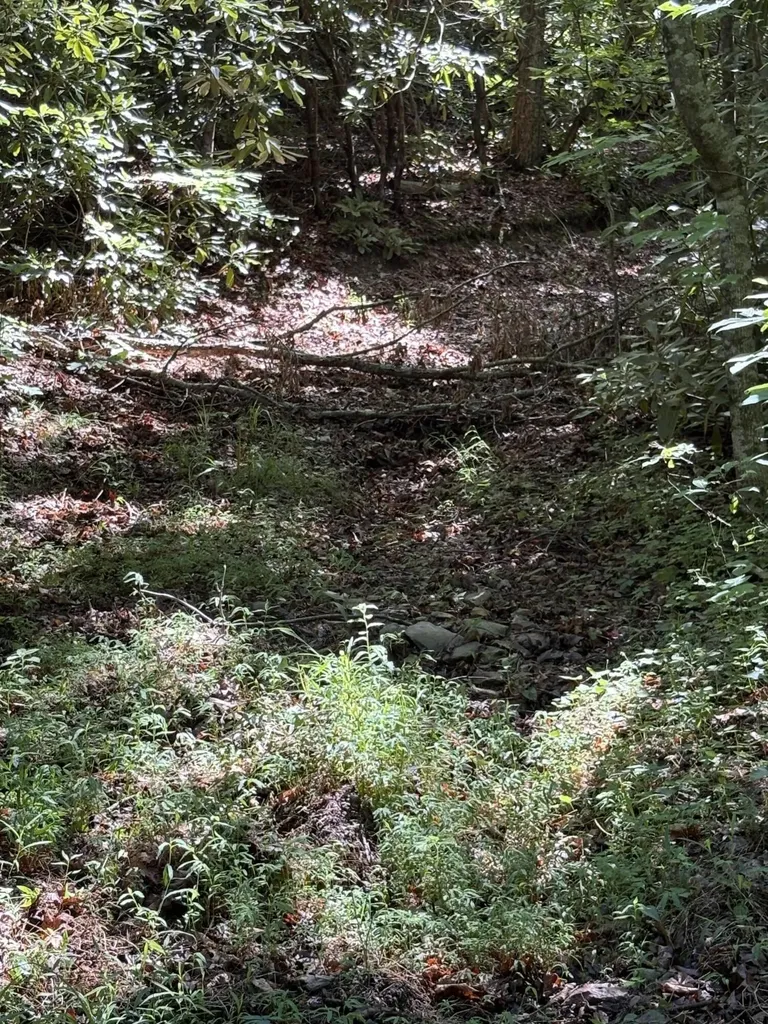4 Old Furnace Road Tellico Plains TN 37385