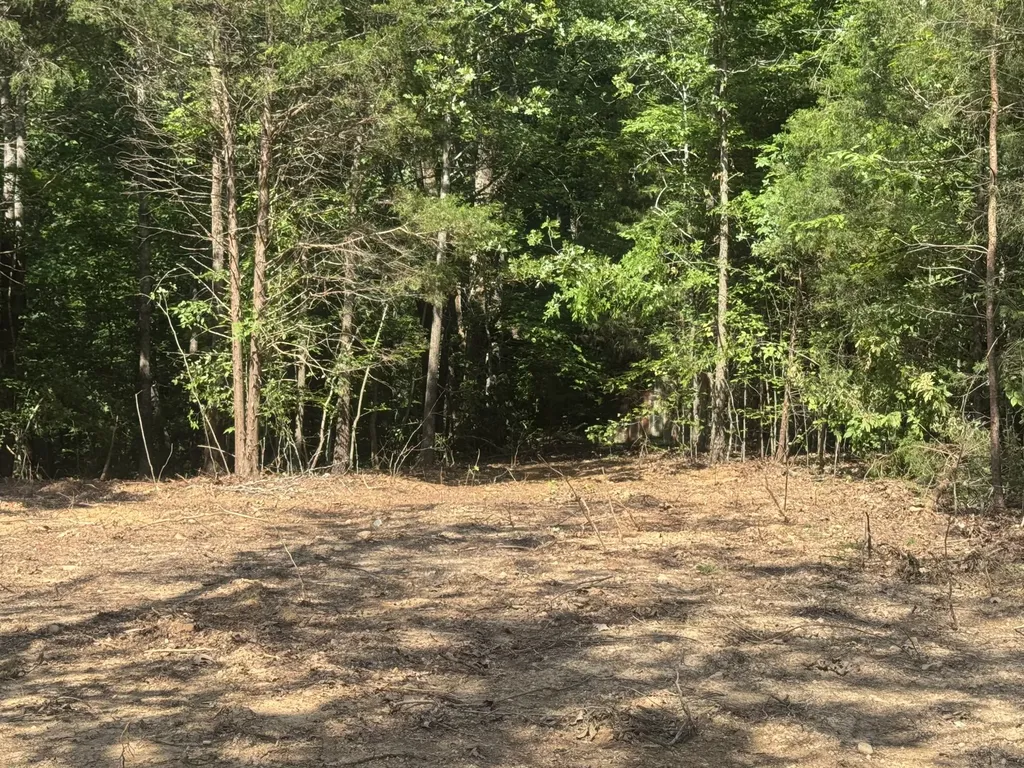 1 Commissary Ridge Road Indian Mound TN 37079