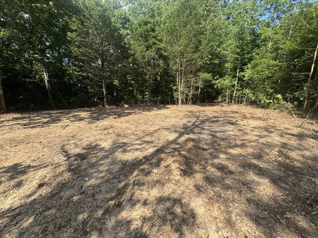 1 Commissary Ridge Road Indian Mound TN 37079