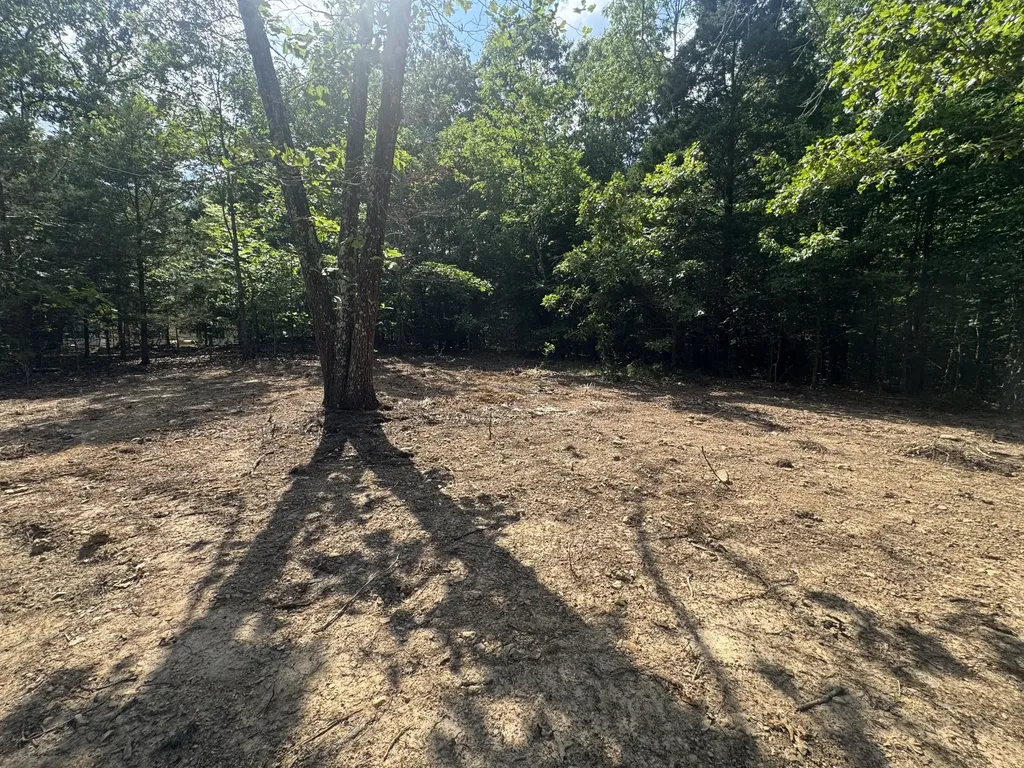 1 Commissary Ridge Road Indian Mound TN 37079