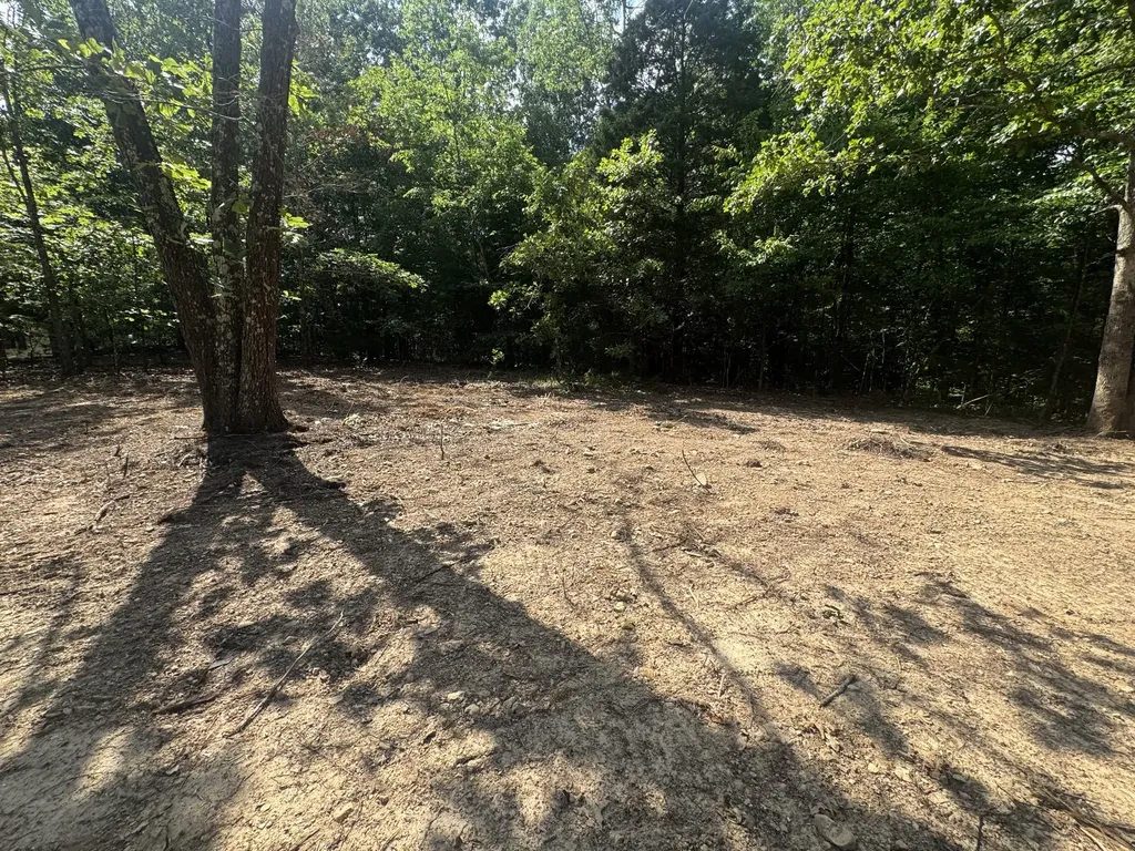 1 Commissary Ridge Road Indian Mound TN 37079