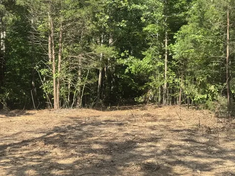 1 Commissary Ridge Road Indian Mound TN 37079