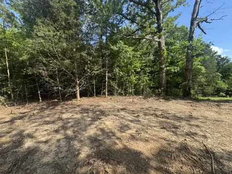 1 Commissary Ridge Road Indian Mound TN 37079