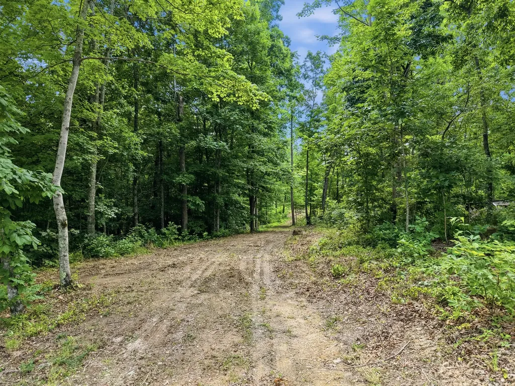 0 Backbone Road Sparta TN 38583