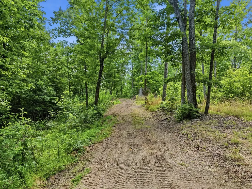 0 Backbone Road Sparta TN 38583