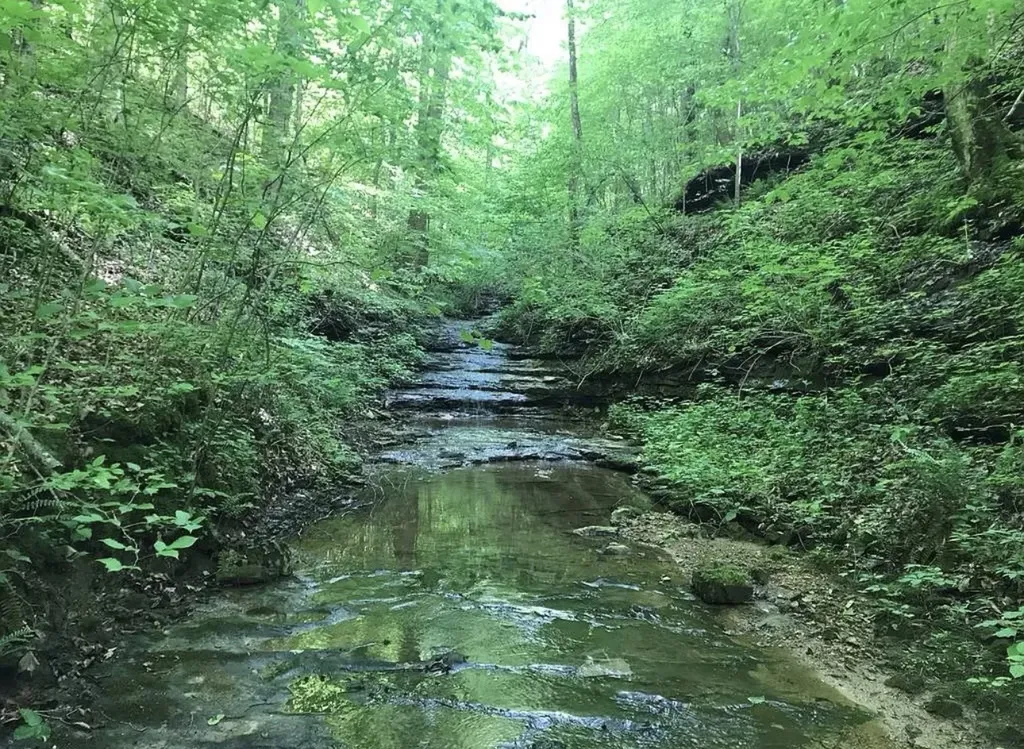 0 Backbone Road Sparta TN 38583