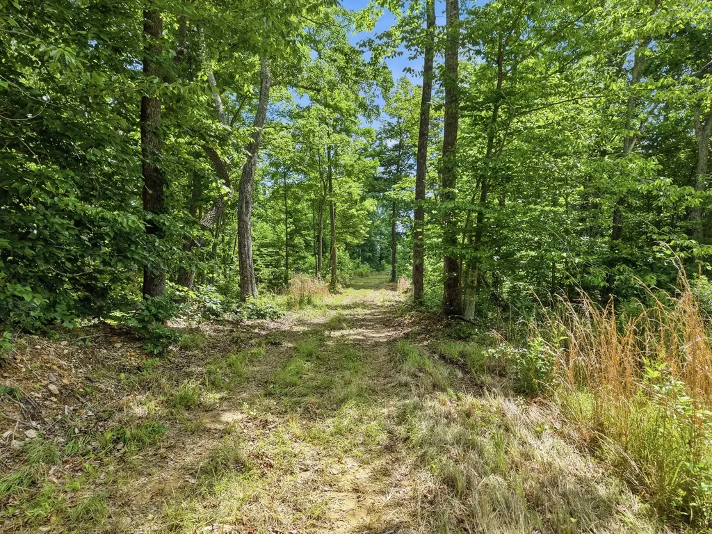 0 Backbone Road Sparta TN 38583