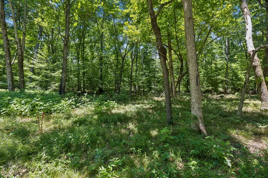 9346 Christiana Fosterville Road Christiana TN 37037