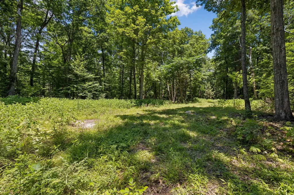 9346 Christiana Fosterville Road Christiana TN 37037