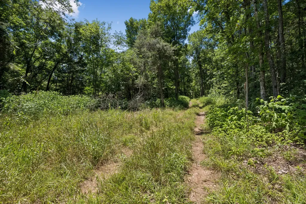 9346 Christiana Fosterville Road Christiana TN 37037