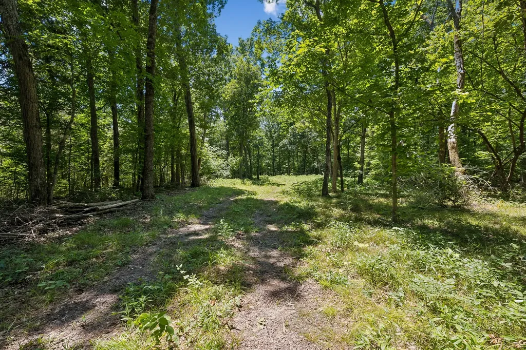 9346 Christiana Fosterville Road Christiana TN 37037