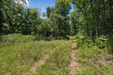 9346 Christiana Fosterville Road Christiana TN 37037