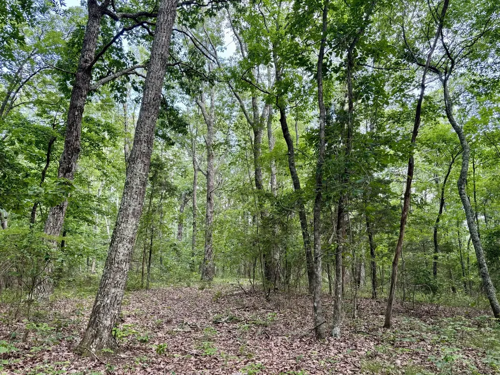 0 Harrison Ferry Road Mc Minnville TN 37110