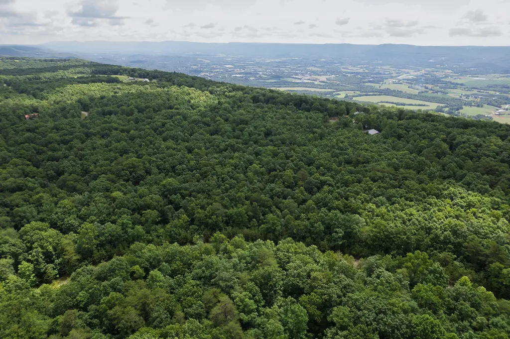 1 Maple Drive Pikeville TN 37367