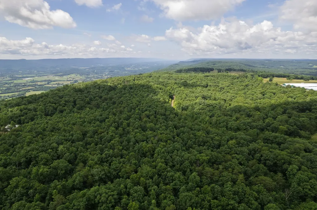 1 Maple Drive Pikeville TN 37367