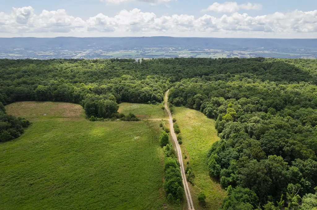 1 Maple Drive Pikeville TN 37367