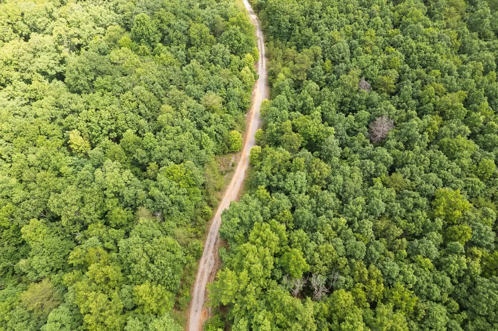1 Maple Drive Pikeville TN 37367