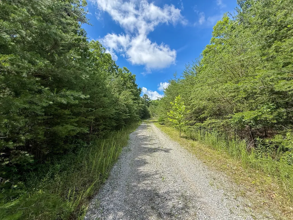 1 Maple Drive Pikeville TN 37367
