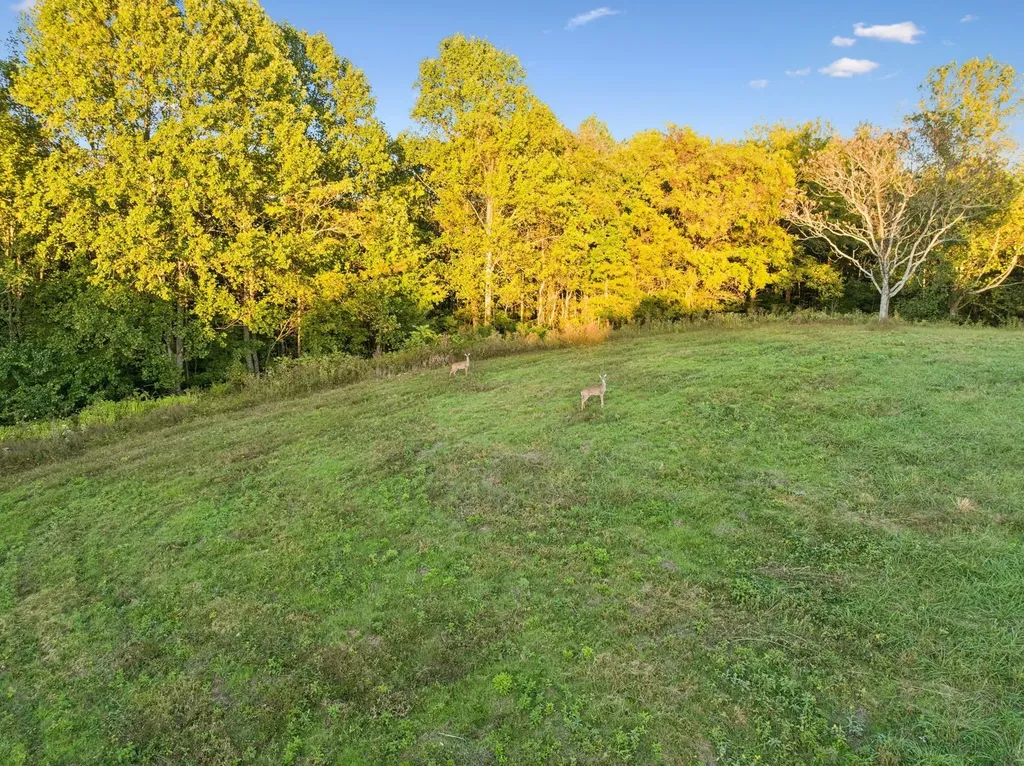 0 Blazer Road Franklin TN 37064