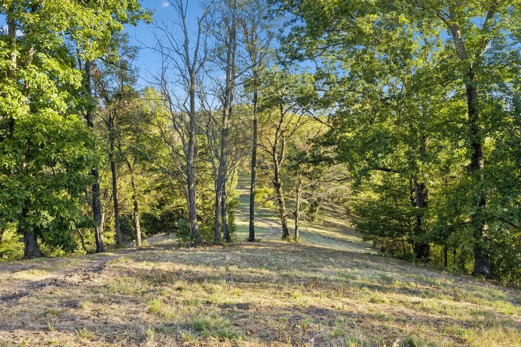 0 Blazer Road Franklin TN 37064