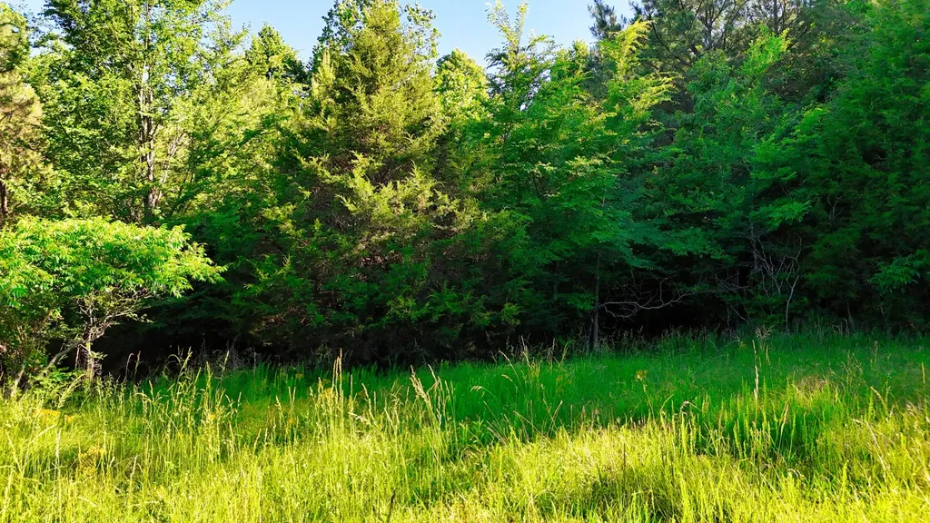 2 Lakewood Lake Lane Huntingdon TN 38344